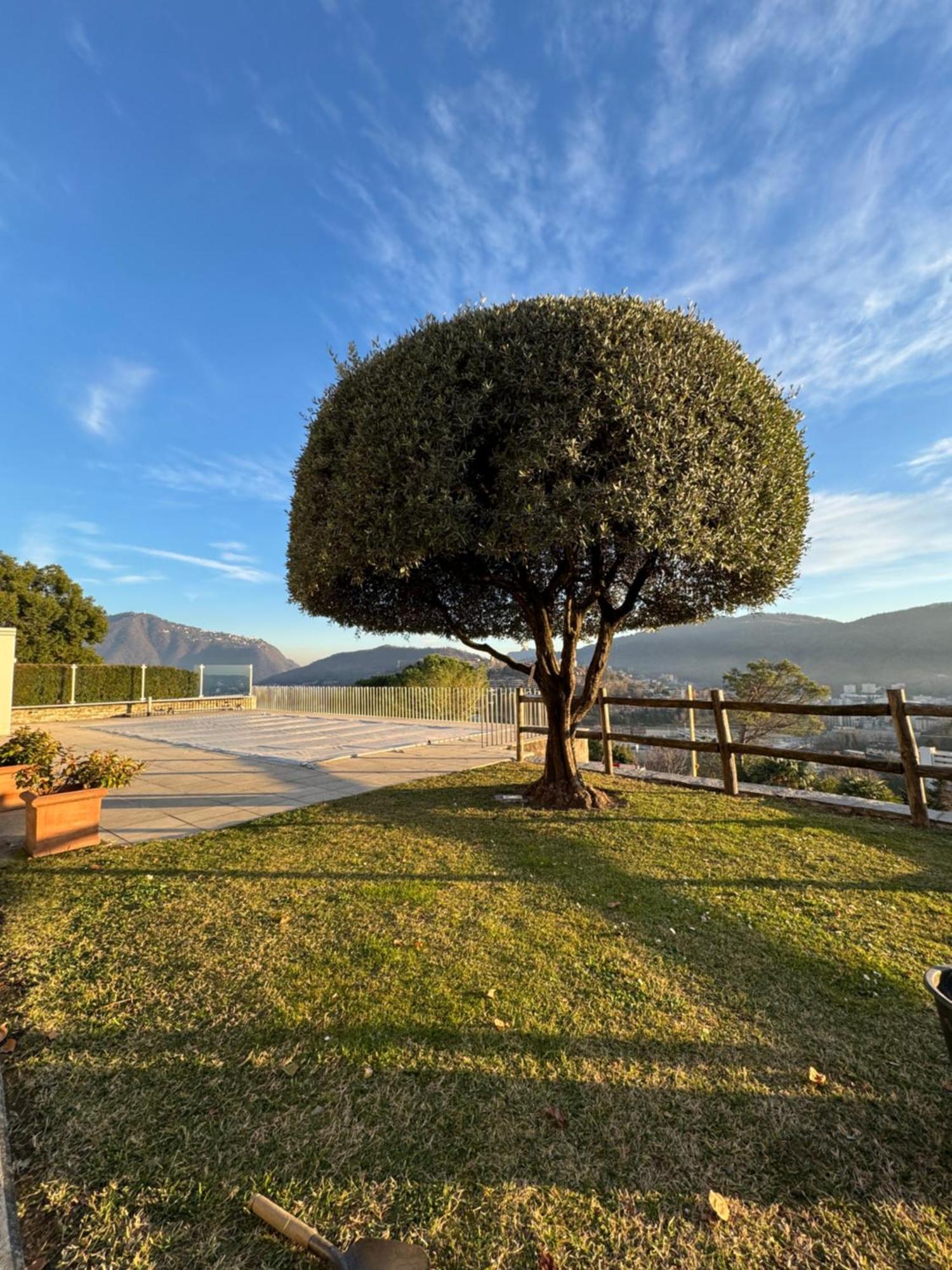 Veralto - Modern Suite With Como Lake View Vacallo Екстериор снимка